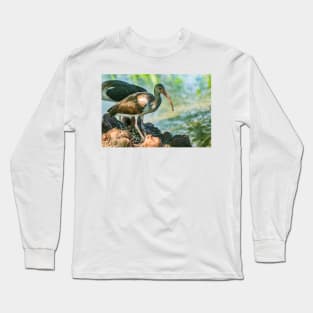 American white ibis 3 Long Sleeve T-Shirt